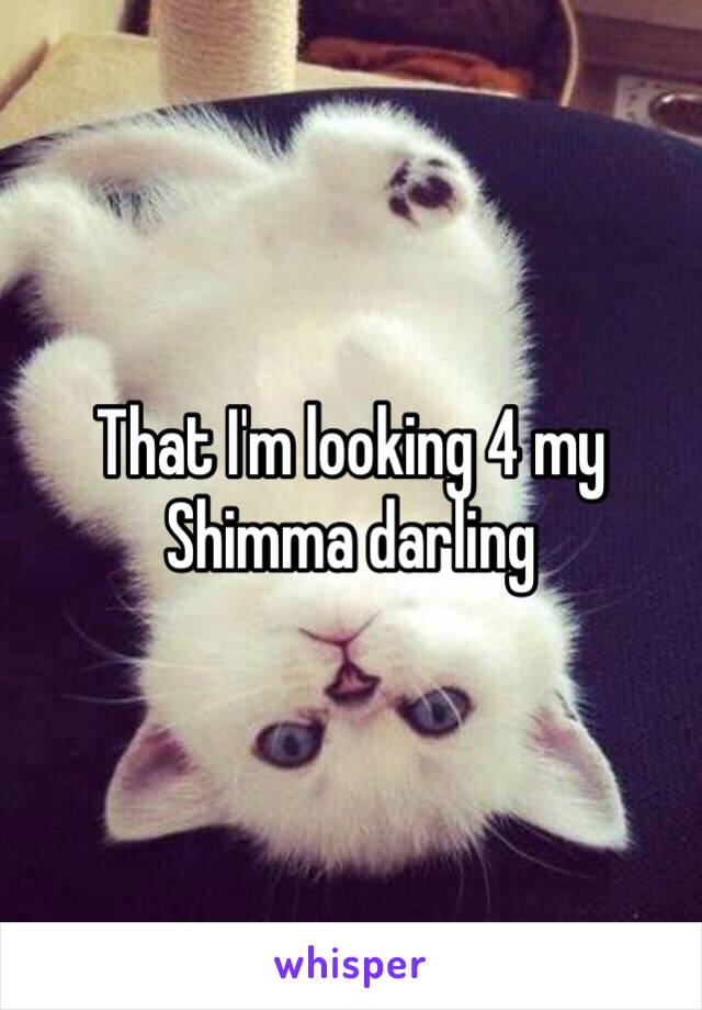 That I'm looking 4 my Shimma darling 