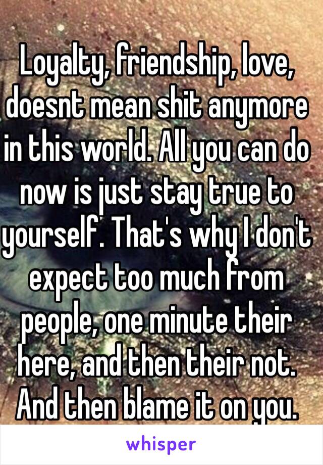 Loyalty, friendship, love, doesnt mean shit anymore in this world. All you can do now is just stay true to yourself. That's why I don't expect too much from people, one minute their here, and then their not. And then blame it on you. 