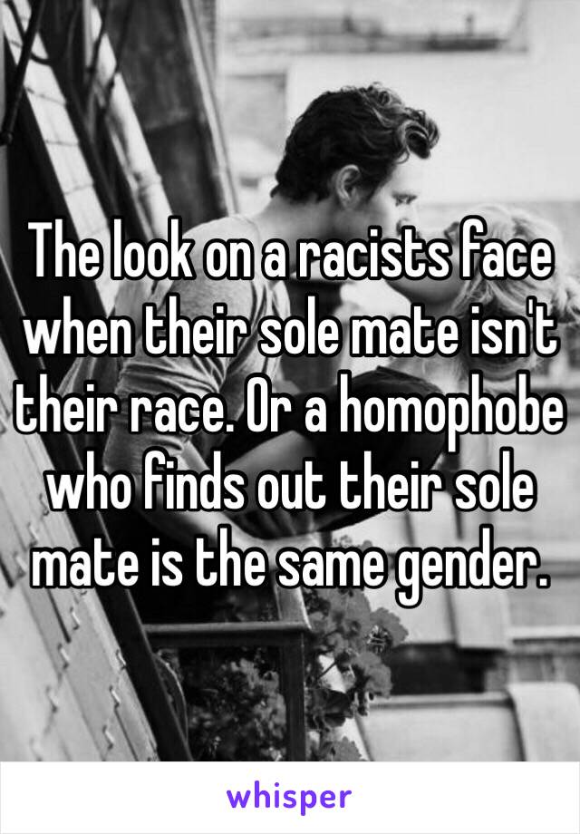 The look on a racists face when their sole mate isn't their race. Or a homophobe who finds out their sole mate is the same gender.