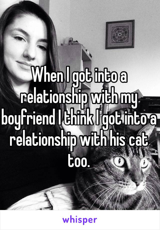 When I got into a relationship with my boyfriend I think I got into a relationship with his cat too. 