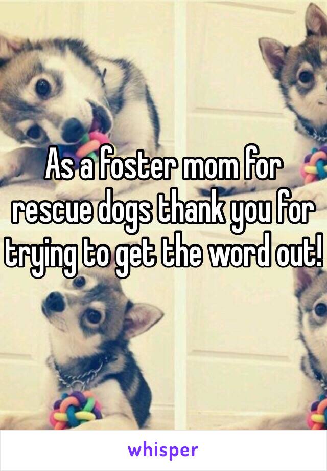 As a foster mom for rescue dogs thank you for trying to get the word out! 