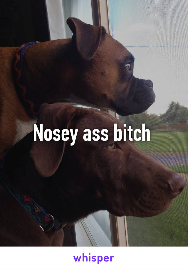 Nosey ass bitch 