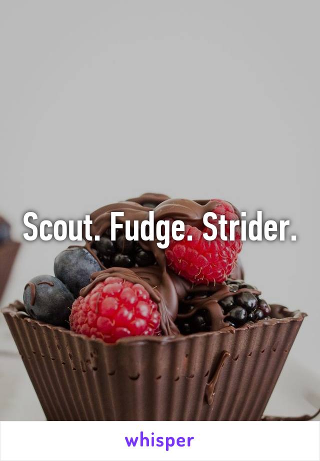 Scout. Fudge. Strider.