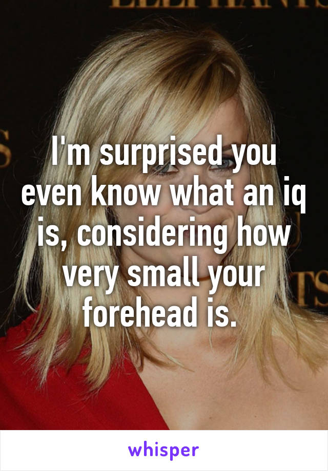 I'm surprised you even know what an iq is, considering how very small your forehead is. 