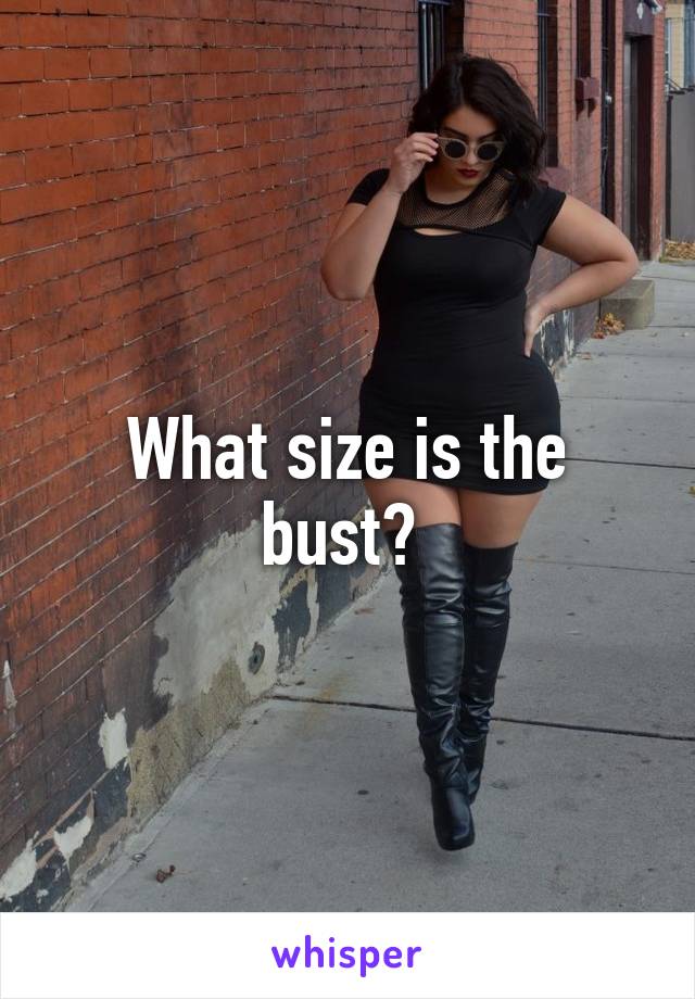 what-size-is-the-bust