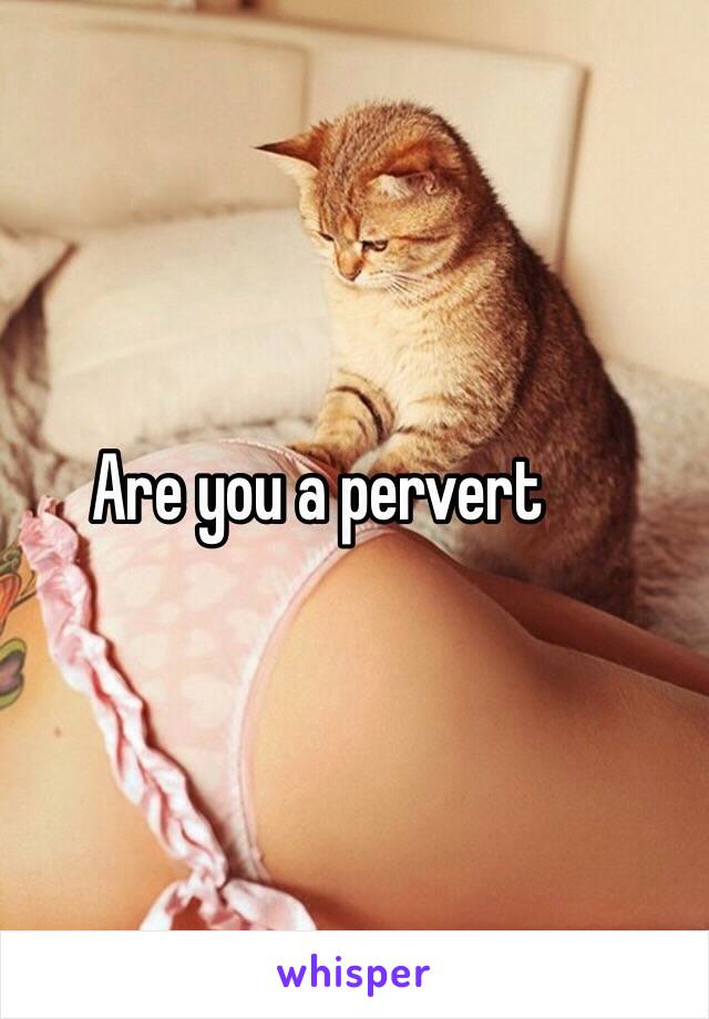 Are you a pervert