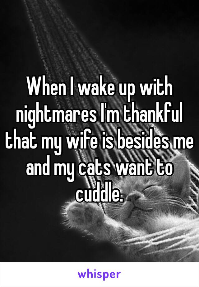 When I wake up with nightmares I'm thankful that my wife is besides me and my cats want to cuddle.