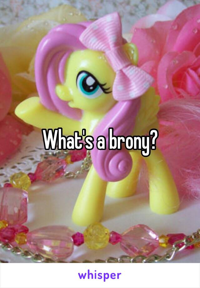 What's a brony?