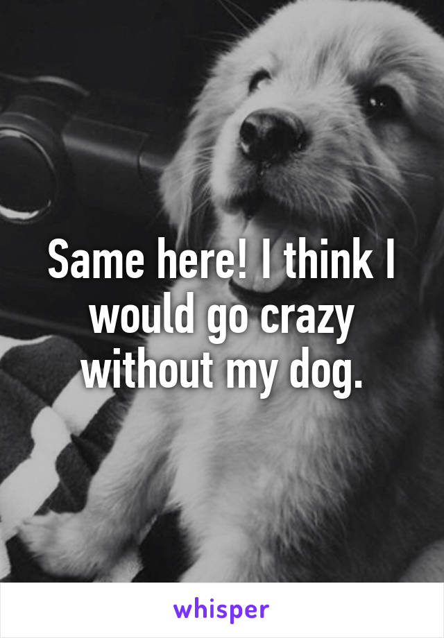 Same here! I think I would go crazy without my dog.