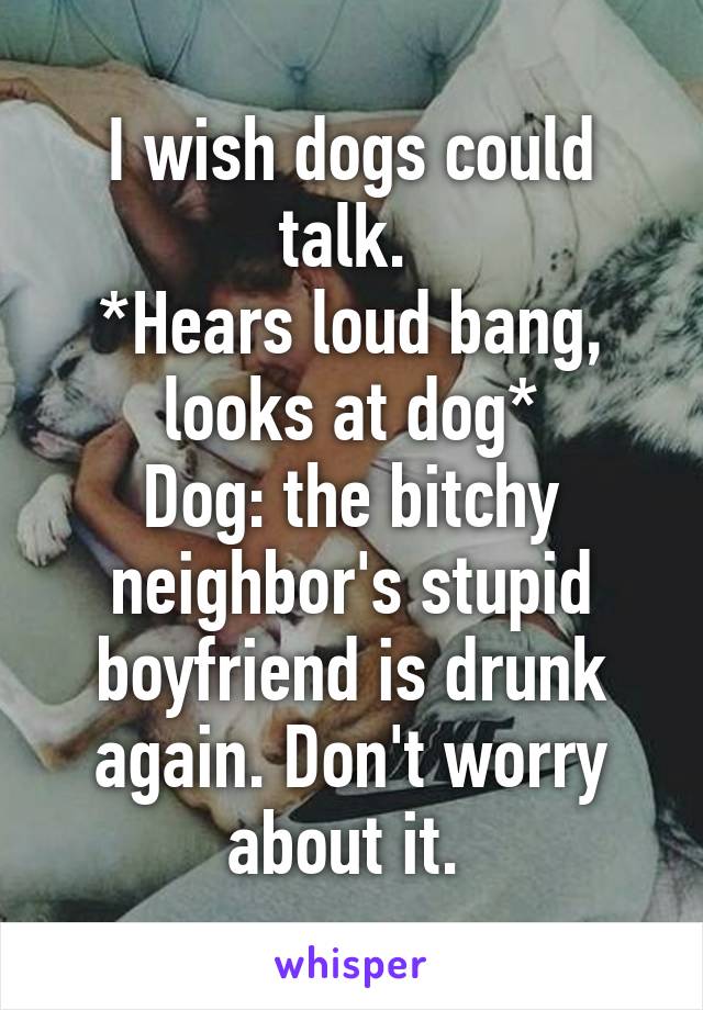 I wish dogs could talk. 
*Hears loud bang, looks at dog*
Dog: the bitchy neighbor's stupid boyfriend is drunk again. Don't worry about it. 