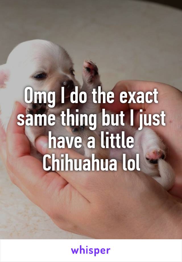 Omg I do the exact same thing but I just have a little Chihuahua lol