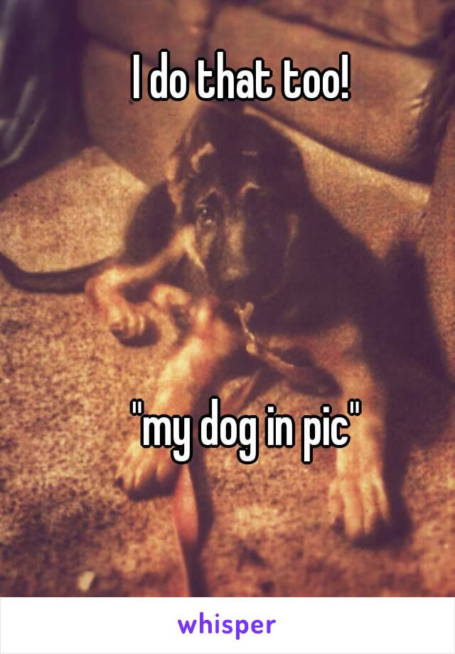 I do that too! 




"my dog in pic"