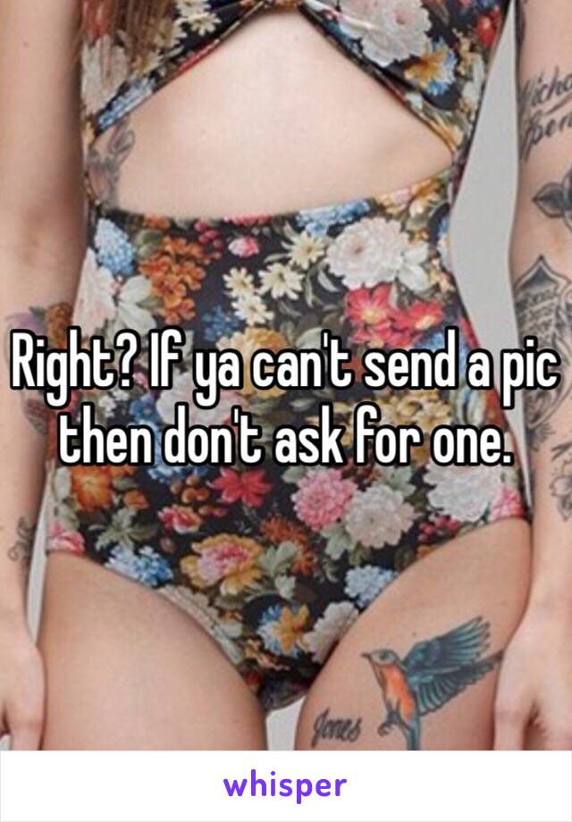 Right? If ya can't send a pic then don't ask for one. 