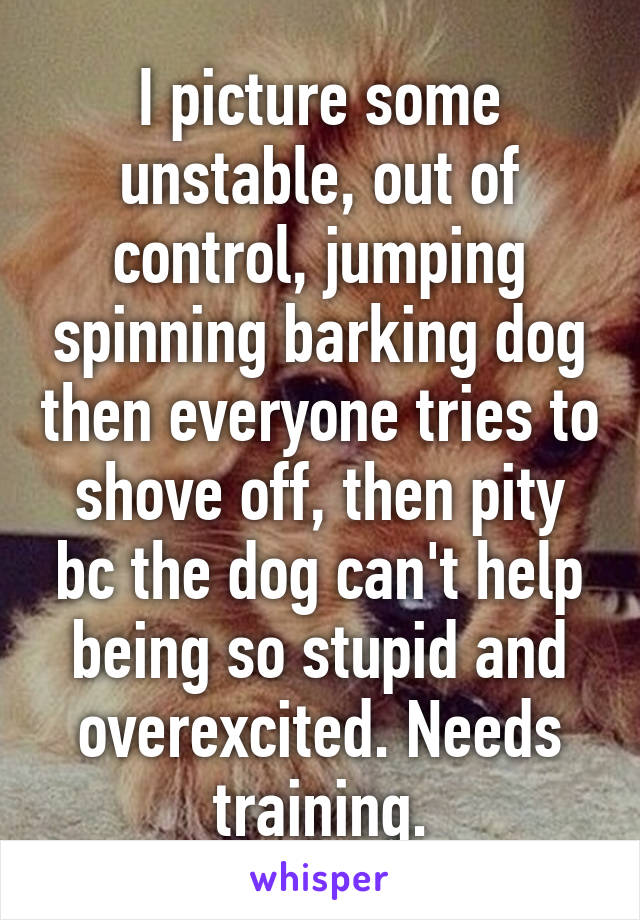 I picture some unstable, out of control, jumping spinning barking dog then everyone tries to shove off, then pity bc the dog can't help being so stupid and overexcited. Needs training.