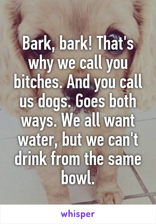 Bark, bark! That's why we call you bitches. And you call us dogs. Goes both ways. We all want water, but we can't drink from the same bowl.