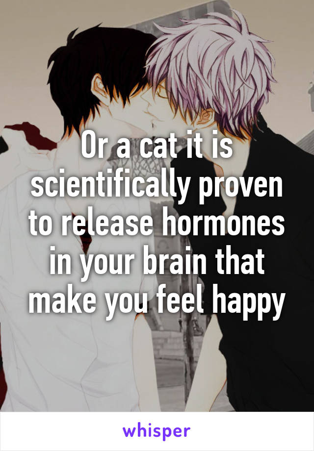 Or a cat it is scientifically proven to release hormones in your brain that make you feel happy