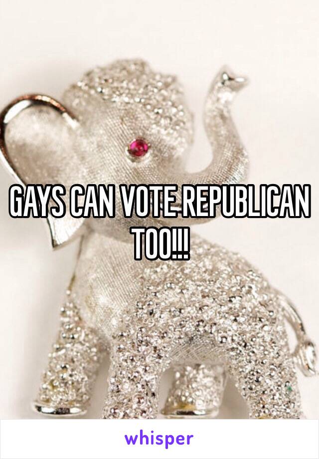 GAYS CAN VOTE REPUBLICAN TOO!!!