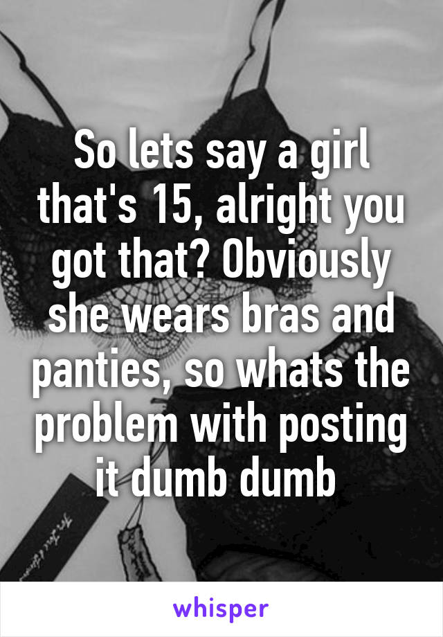 So lets say a girl that's 15, alright you got that? Obviously she wears bras and panties, so whats the problem with posting it dumb dumb 