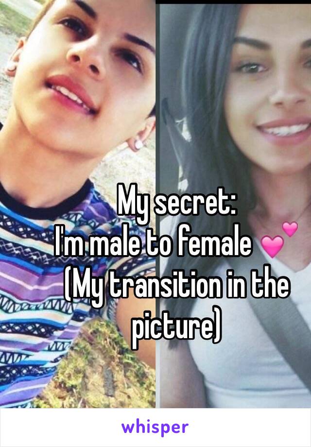 My secret: 
I'm male to female 💕
(My transition in the picture)