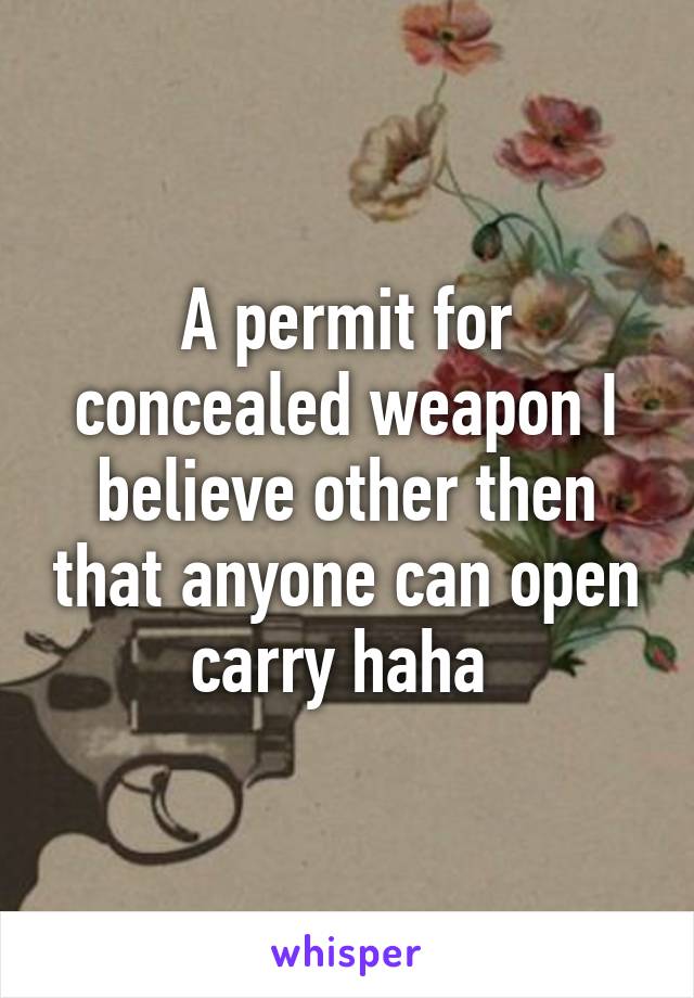 A permit for concealed weapon I believe other then that anyone can open carry haha 