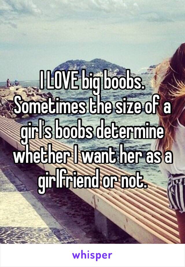 I LOVE big boobs. Sometimes the size of a girl's boobs determine whether I want her as a girlfriend or not. 