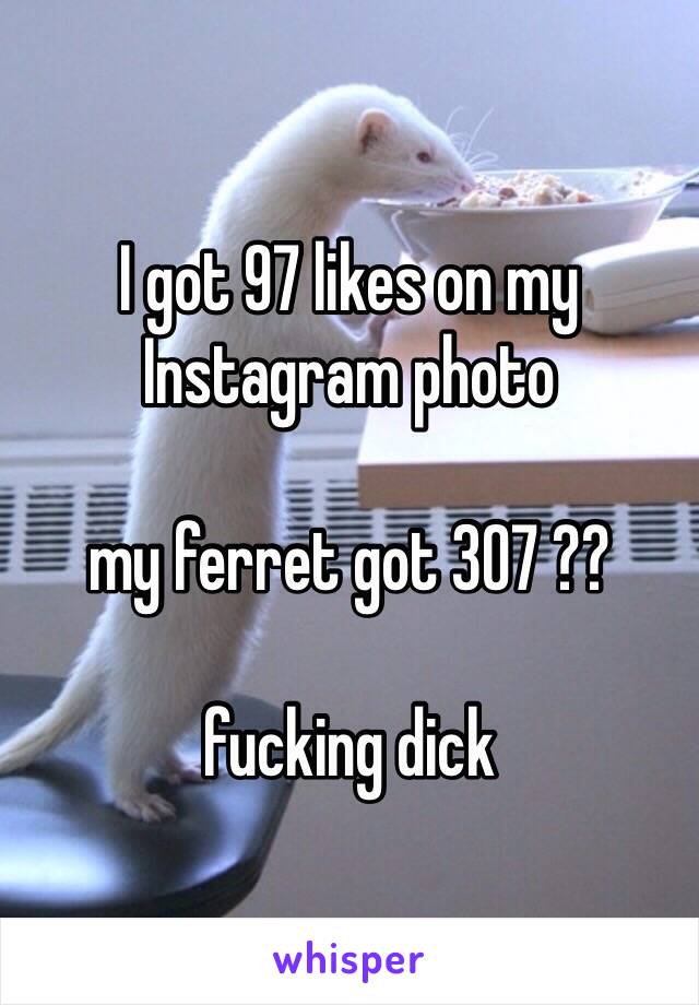 I got 97 likes on my Instagram photo

my ferret got 307 ??

fucking dick