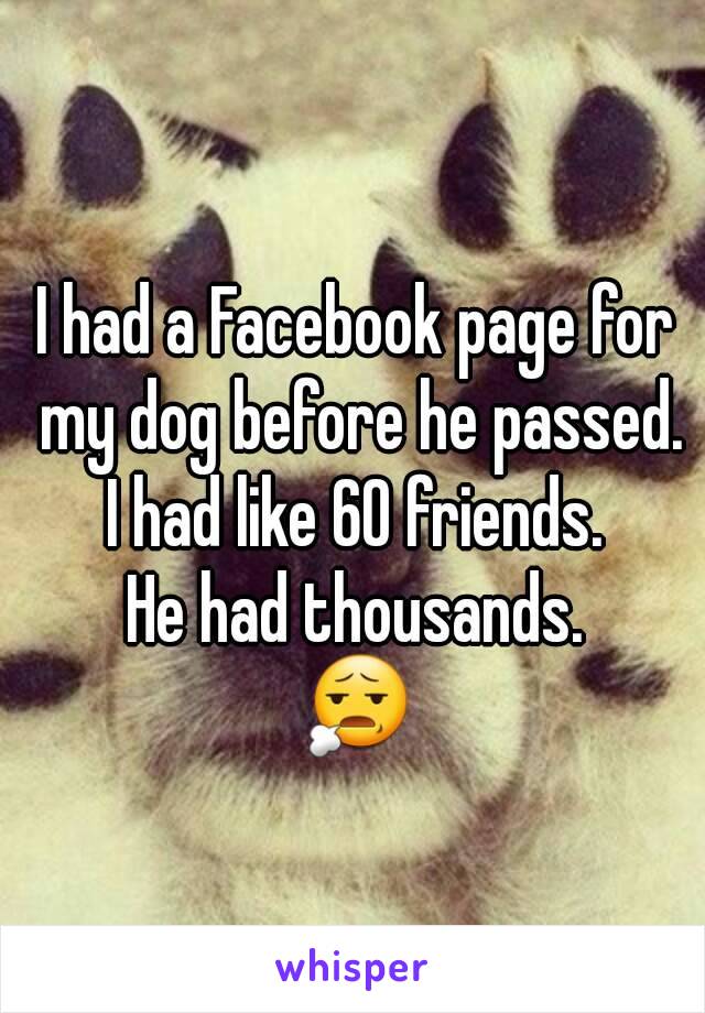 I had a Facebook page for my dog before he passed.
I had like 60 friends.
He had thousands.
😧