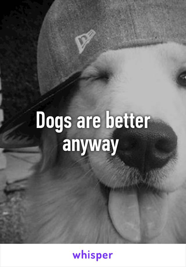 Dogs are better anyway 