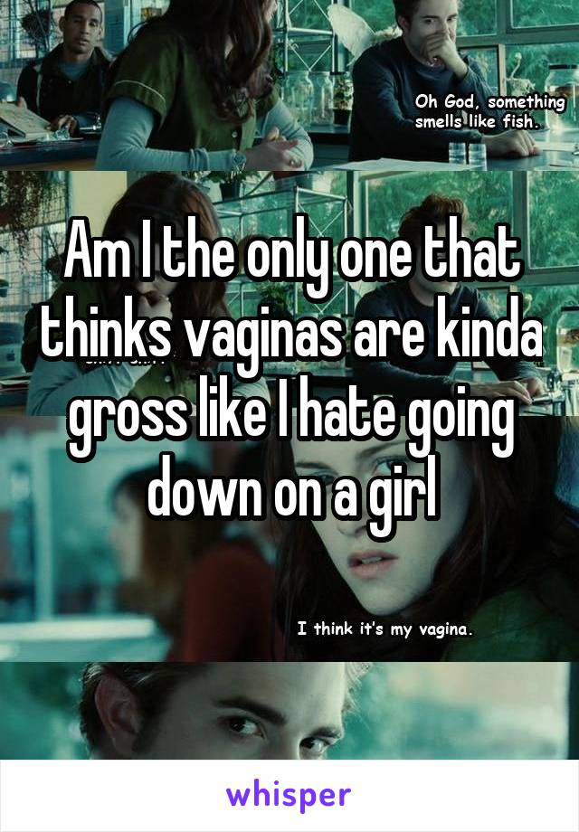 Am I the only one that thinks vaginas are kinda gross like I hate going down on a girl
