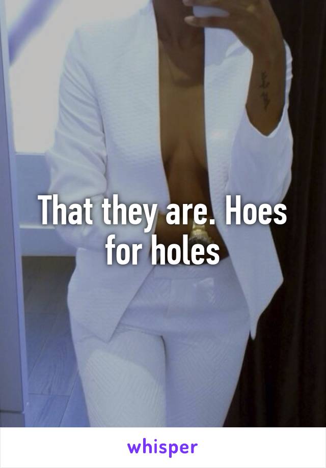 That they are. Hoes for holes