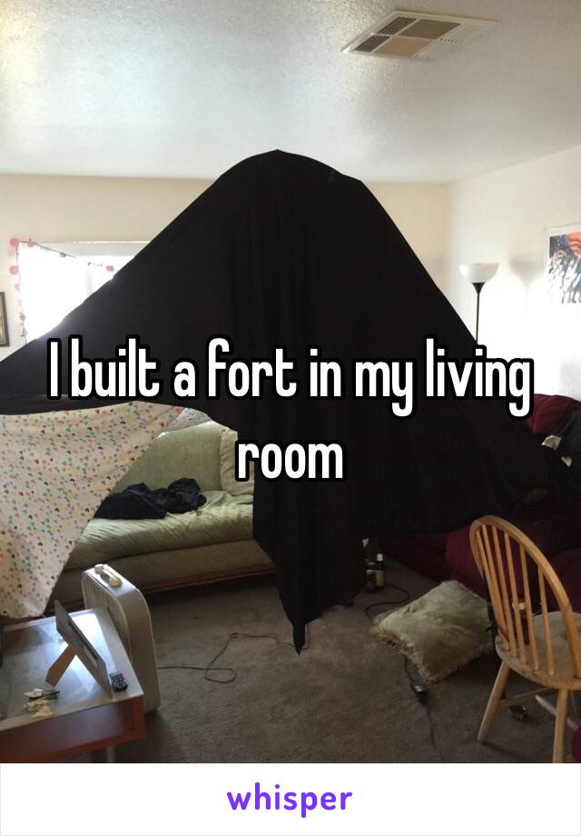 I built a fort in my living room 