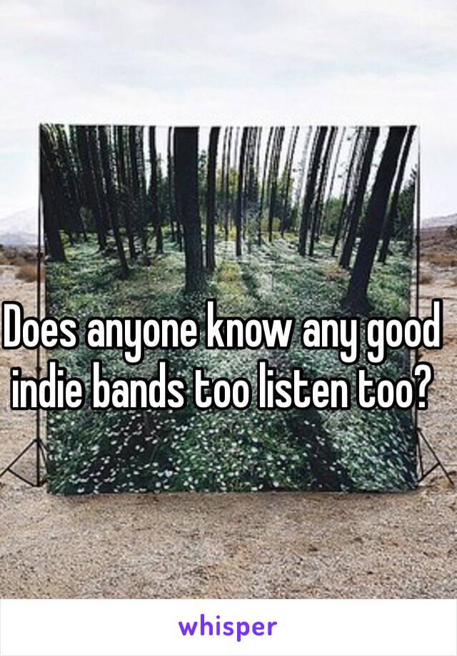 Does anyone know any good indie bands too listen too?