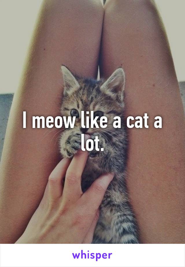 I meow like a cat a lot.