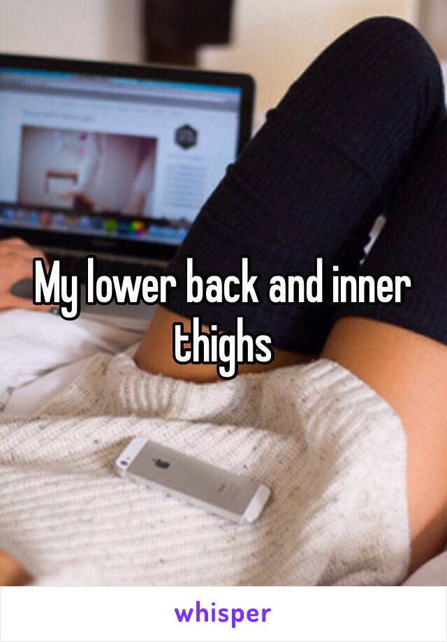 My lower back and inner thighs