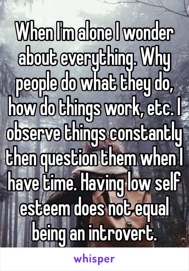 When I'm alone I wonder about everything. Why people do what they do, how do things work, etc. I observe things constantly then question them when I have time. Having low self esteem does not equal being an introvert. 