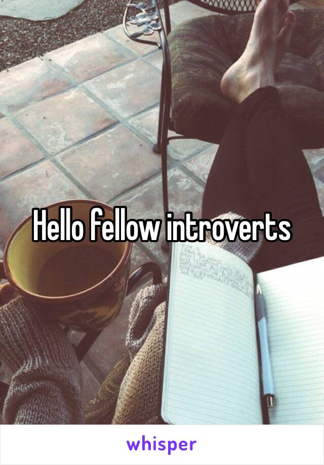 Hello fellow introverts 