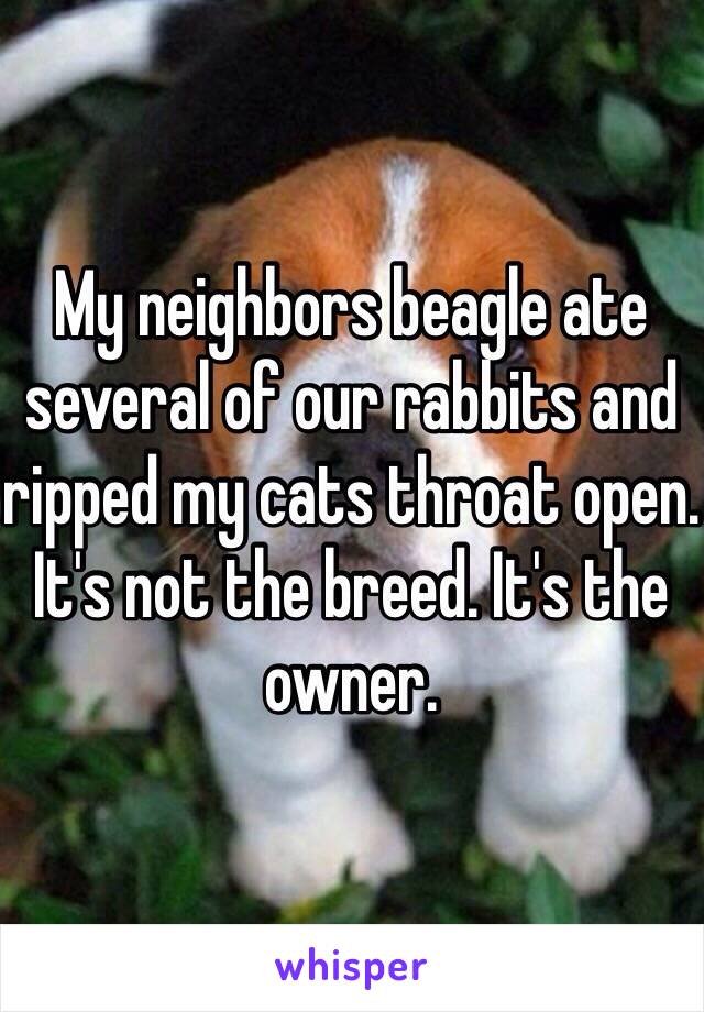 My neighbors beagle ate several of our rabbits and ripped my cats throat open. It's not the breed. It's the owner.