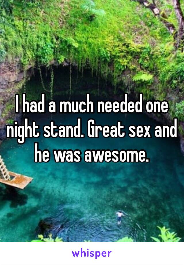 I had a much needed one night stand. Great sex and he was awesome. 