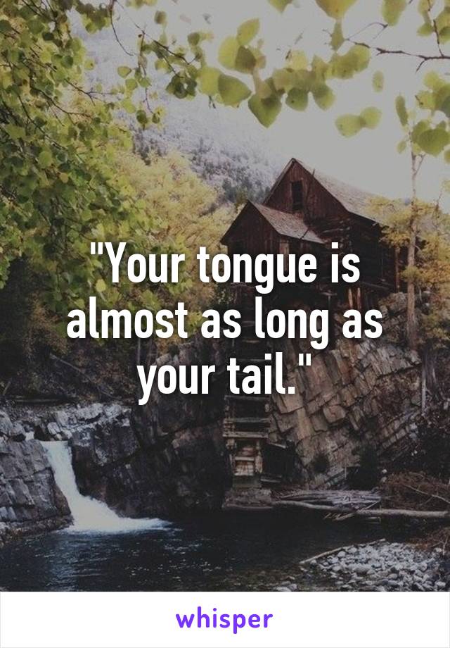 "Your tongue is almost as long as your tail."