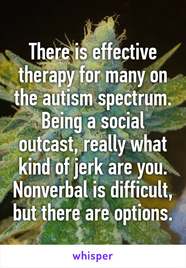 There is effective therapy for many on the autism spectrum. Being a social outcast, really what kind of jerk are you. Nonverbal is difficult, but there are options.