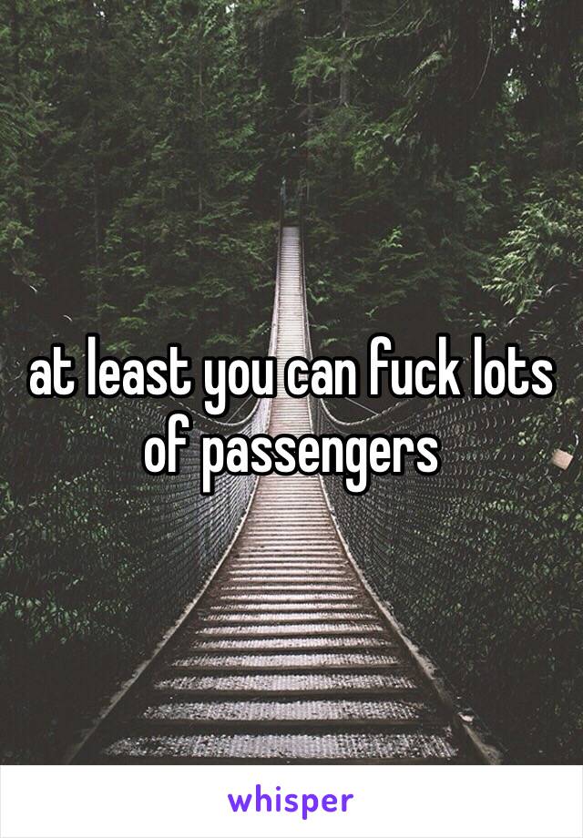 at least you can fuck lots of passengers