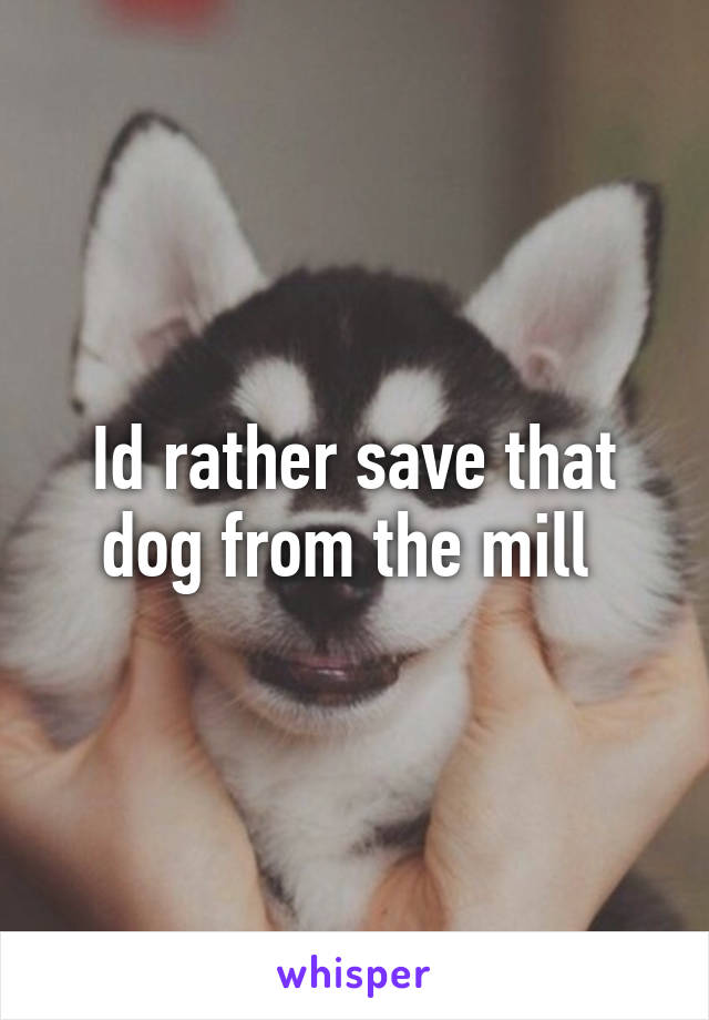 Id rather save that dog from the mill 