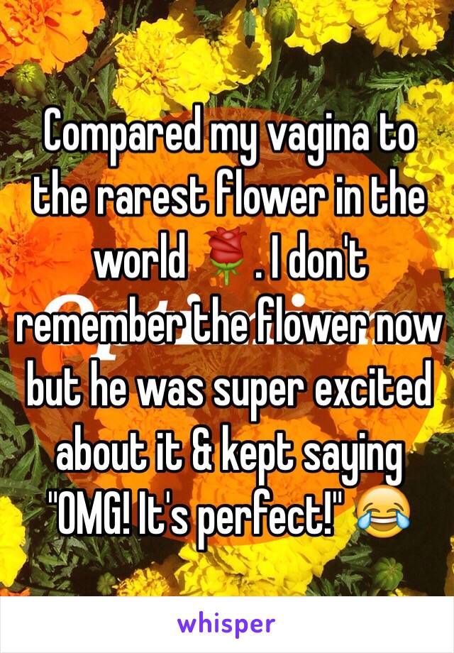 Compared my vagina to the rarest flower in the world 🌹. I don't remember the flower now but he was super excited about it & kept saying "OMG! It's perfect!" 😂