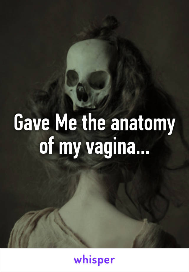 Gave Me the anatomy of my vagina...