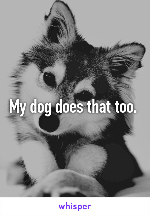 My dog does that too. 