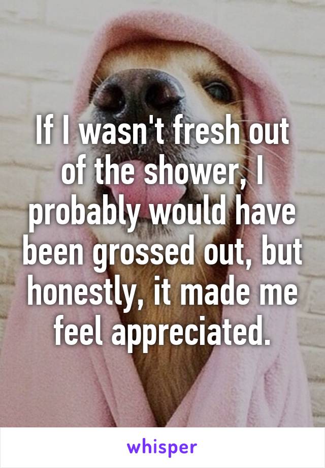 If I wasn't fresh out of the shower, I probably would have been grossed out, but honestly, it made me feel appreciated.