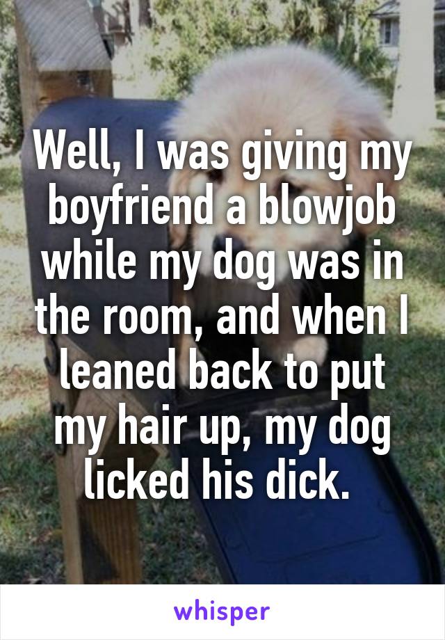 Well, I was giving my boyfriend a blowjob while my dog was in the room, and when I leaned back to put my hair up, my dog licked his dick. 