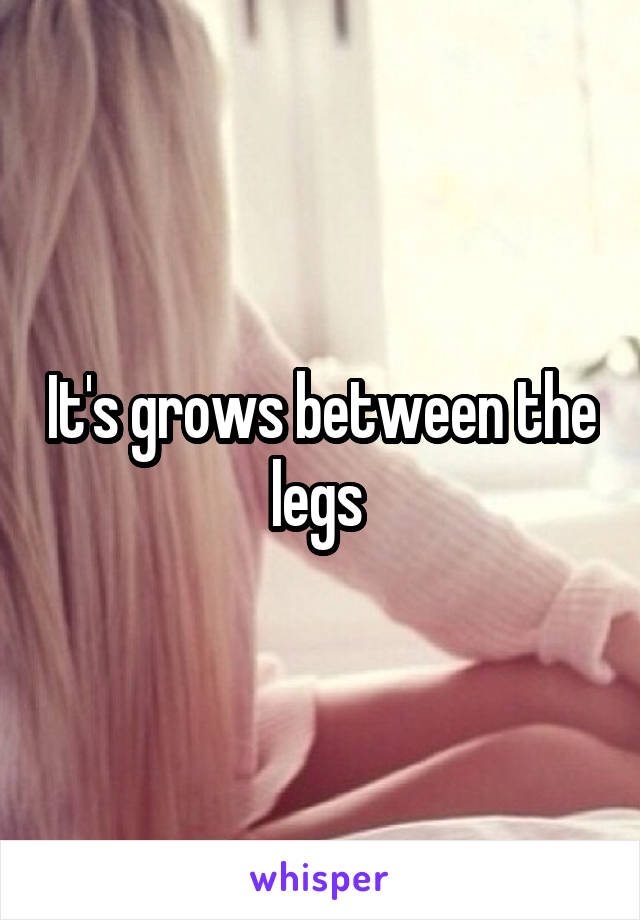 It's grows between the legs 