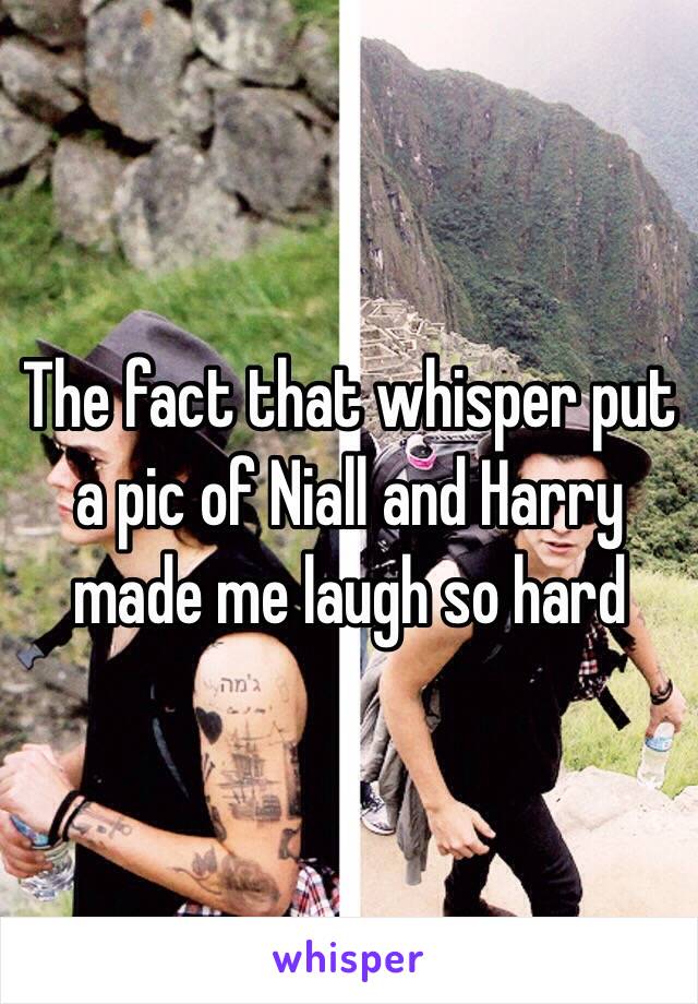 The fact that whisper put a pic of Niall and Harry made me laugh so hard