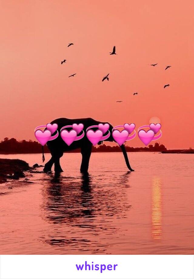 💞💞💞💞💞